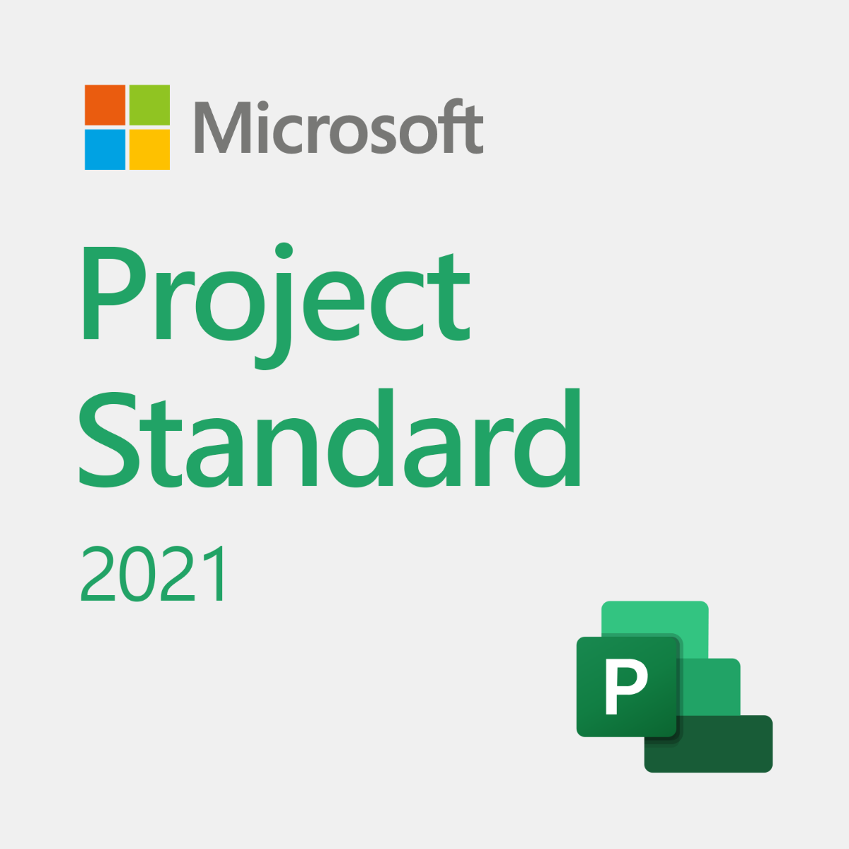 Project Standard 2021
